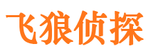 岚县市侦探调查公司